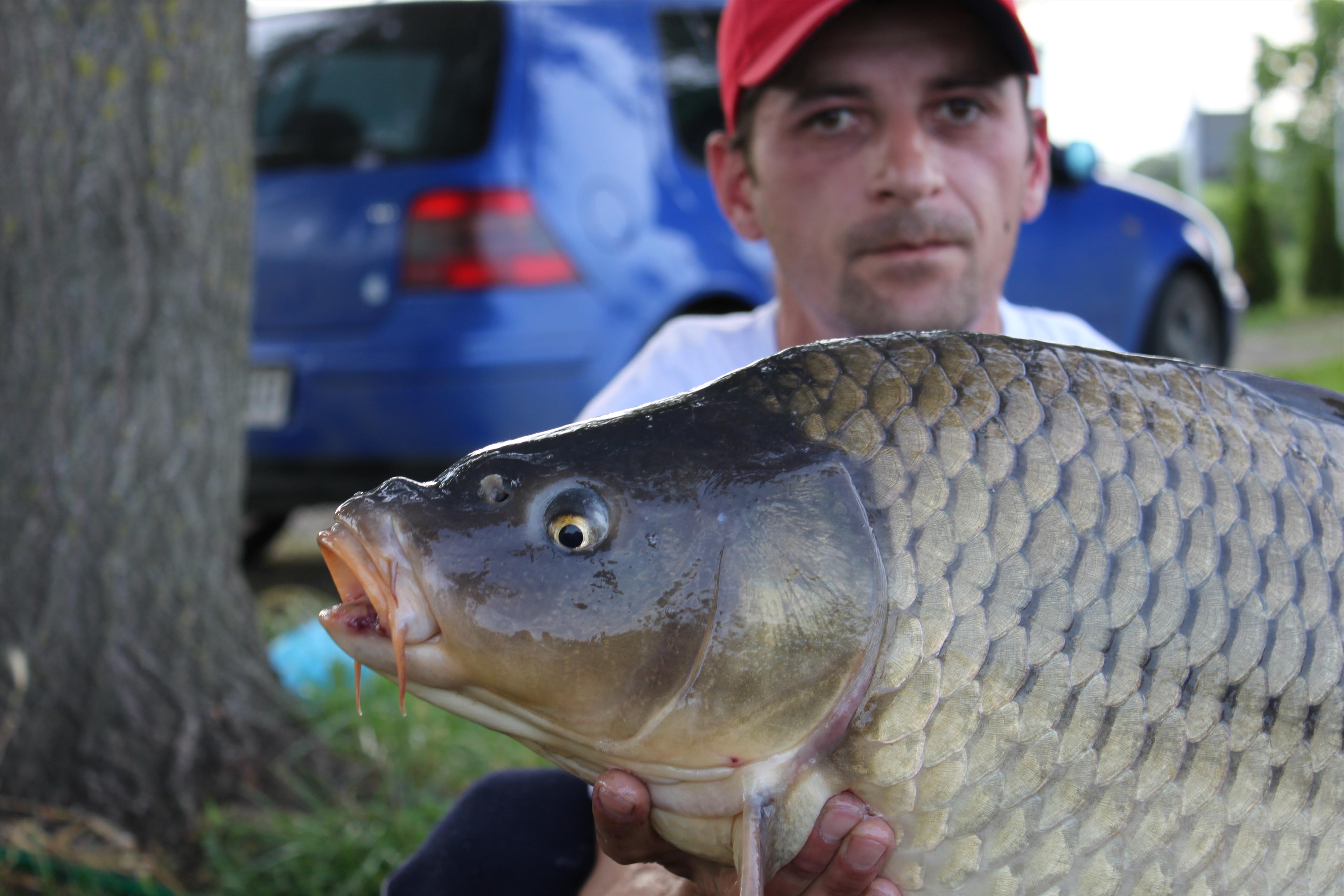 Capturi 2012 - IMG_0775.JPG